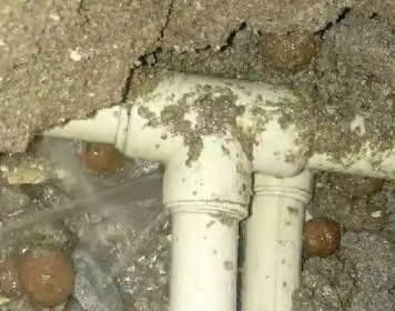 伊川测漏水多少钱