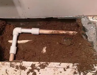 伊川测漏水哪家好