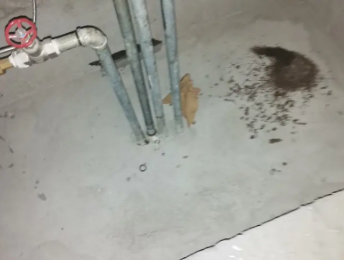 伊川卫生间测漏水价格明细