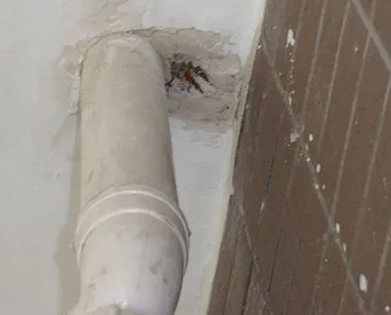 伊川漏水检测哪家好